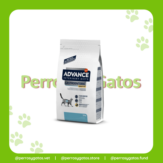 Gastroentérico Gato | Advance