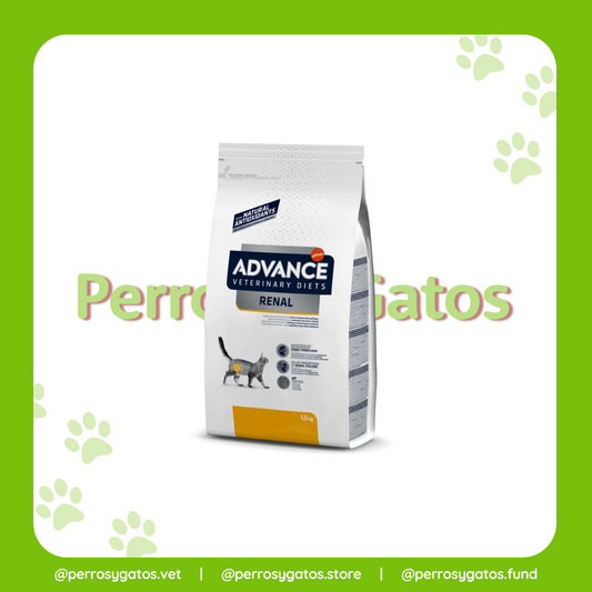 Renal Gato | Advance