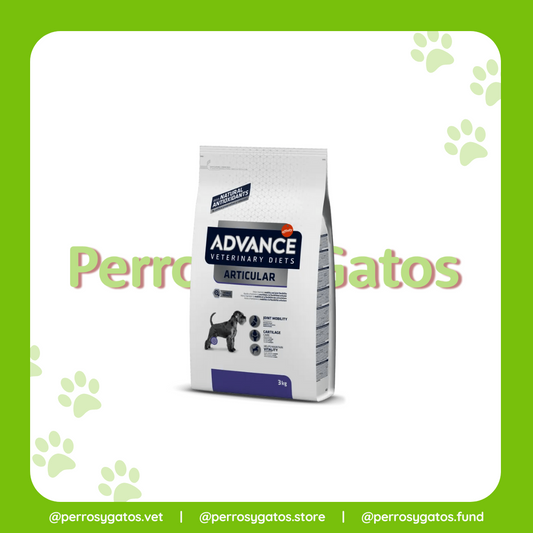 Articular Perro | Advance