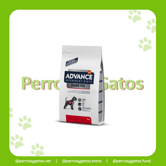 Diabetes Perro | Advance