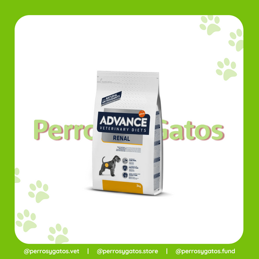 Renal Perro | Advance