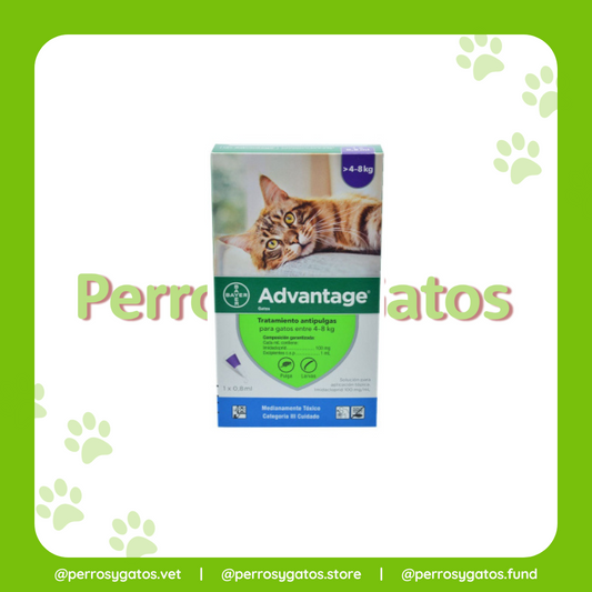 Advantage Gatos 4 - 8 Kg - Antipulgas