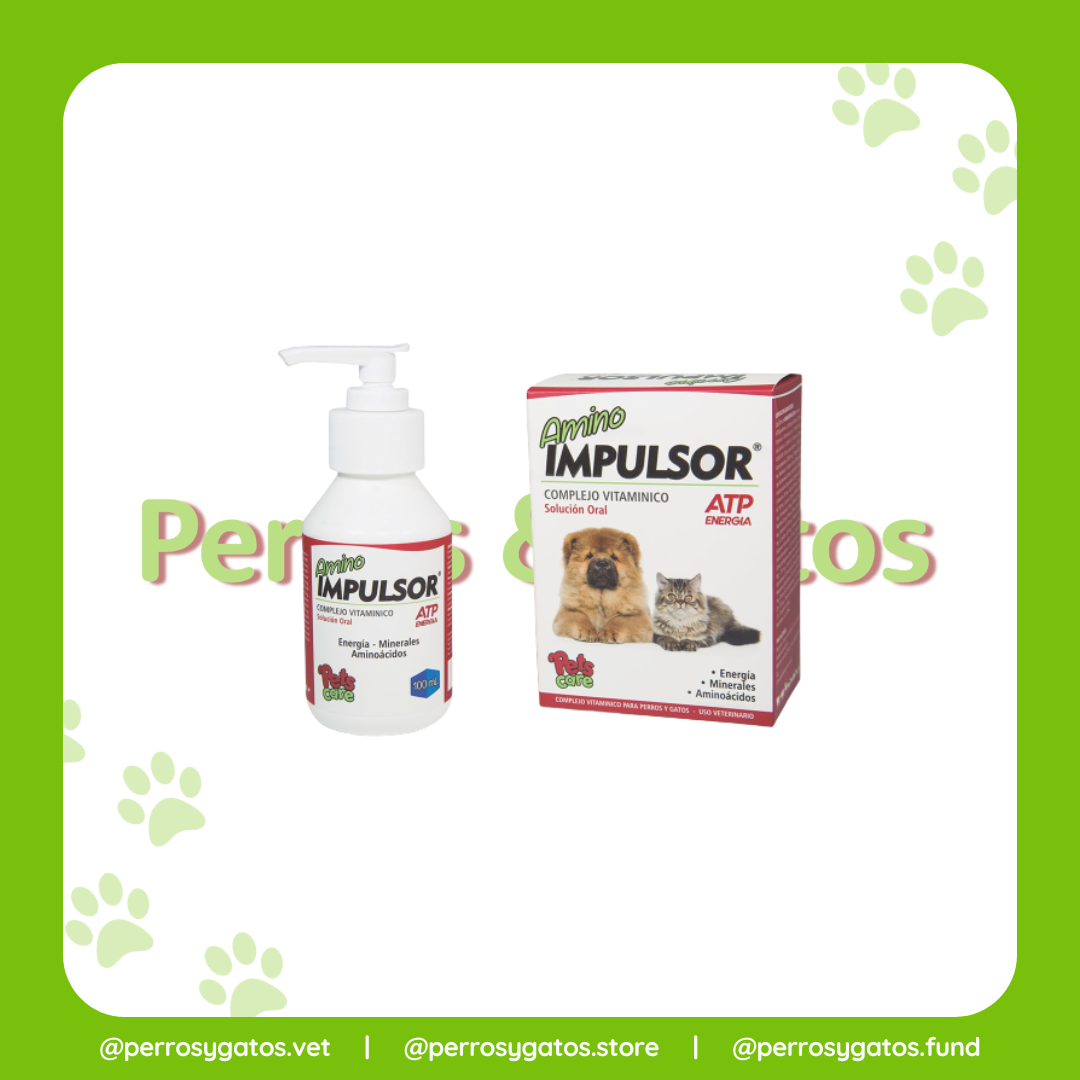 Amino Impulsor Complejo Vitamínico Solución Oral