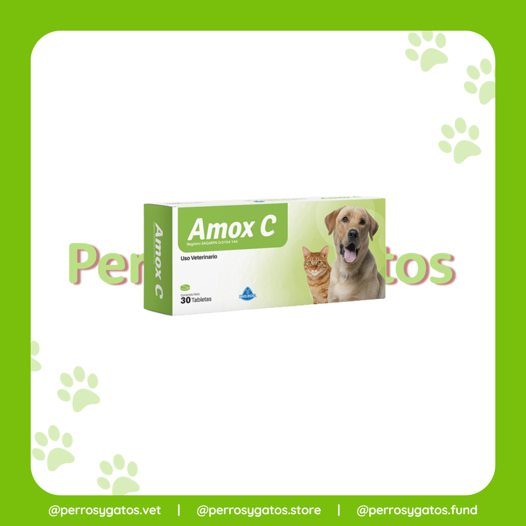 Amox C Caja x 30 Tabs