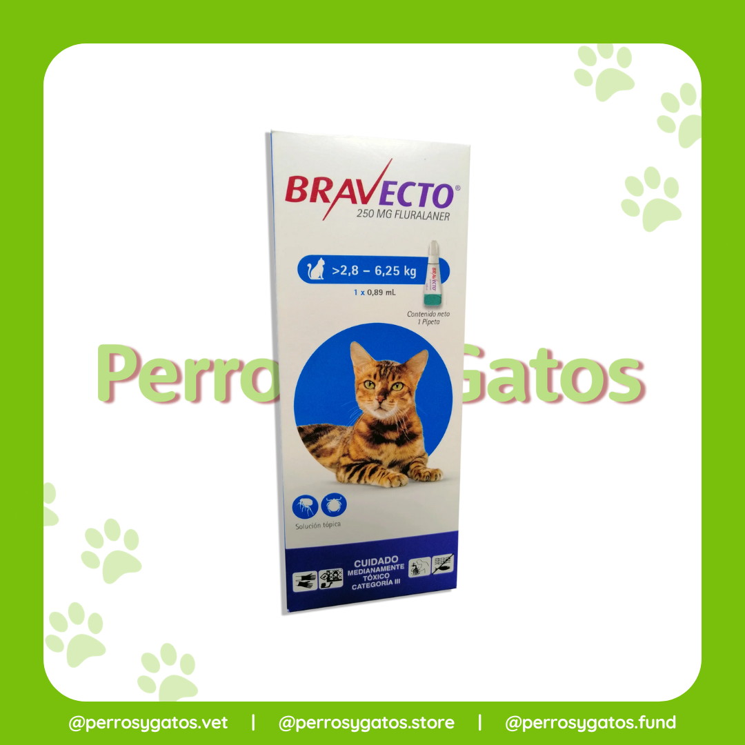 Bravecto Solución Tópica Antipulgas Para Gatos 2,8 - 6,5 Kg