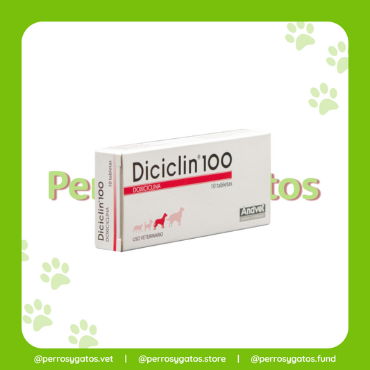 Diciclin (Doxiciclina) 100 mg Caja x 10 Tabletas