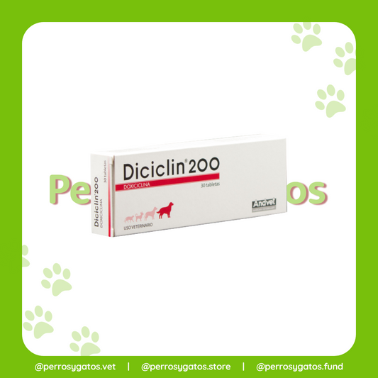 Diciclin (Doxiciclina) 200 mg Caja x 30 Tabletas