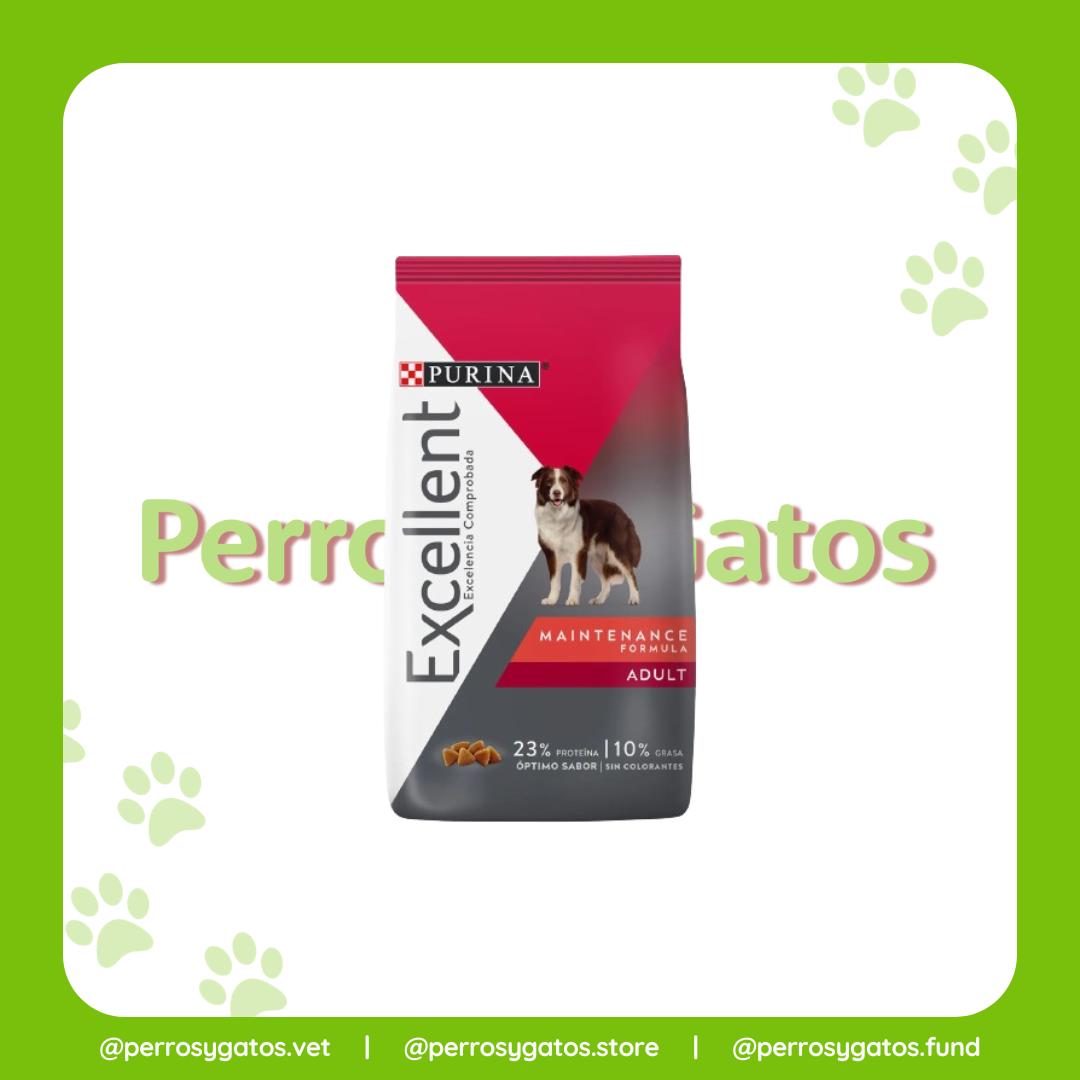 Adulto Perro Mantenimiento x 3 Kg | Excellent