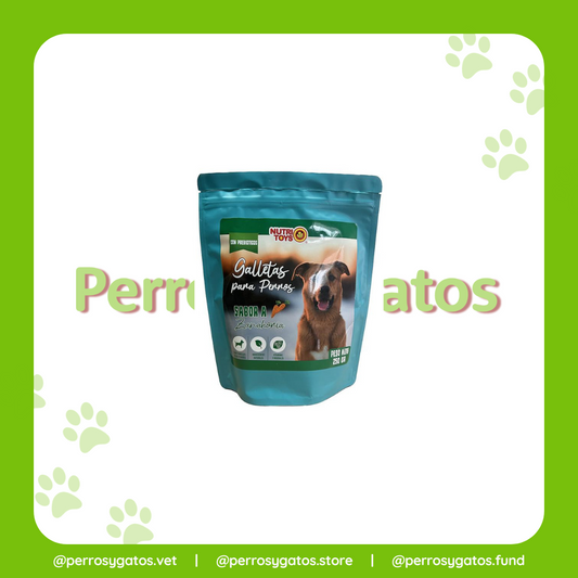 Galletas Para Perros Sabor a Zanahoria 150 Gr | NutriToys