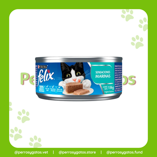 Alimento Húmedo Gato Adulto Paté De Sensaciones Marinas 156 Gr | Felix