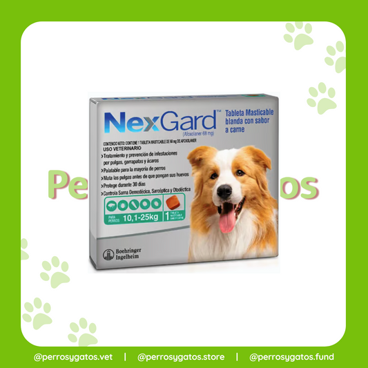 NexGard 10 - 25 Kg