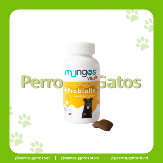 Probióticos Para Perros x 50 Masticables | Mungos Vital