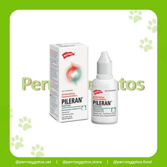 Pileran Gotas x 20 ml