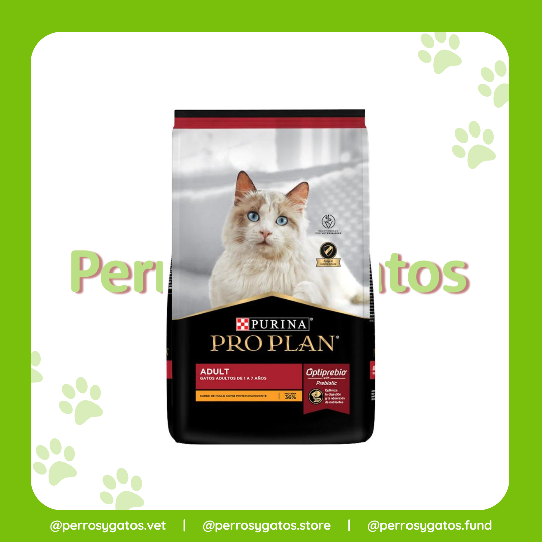 Adulto Gato | Pro Plan