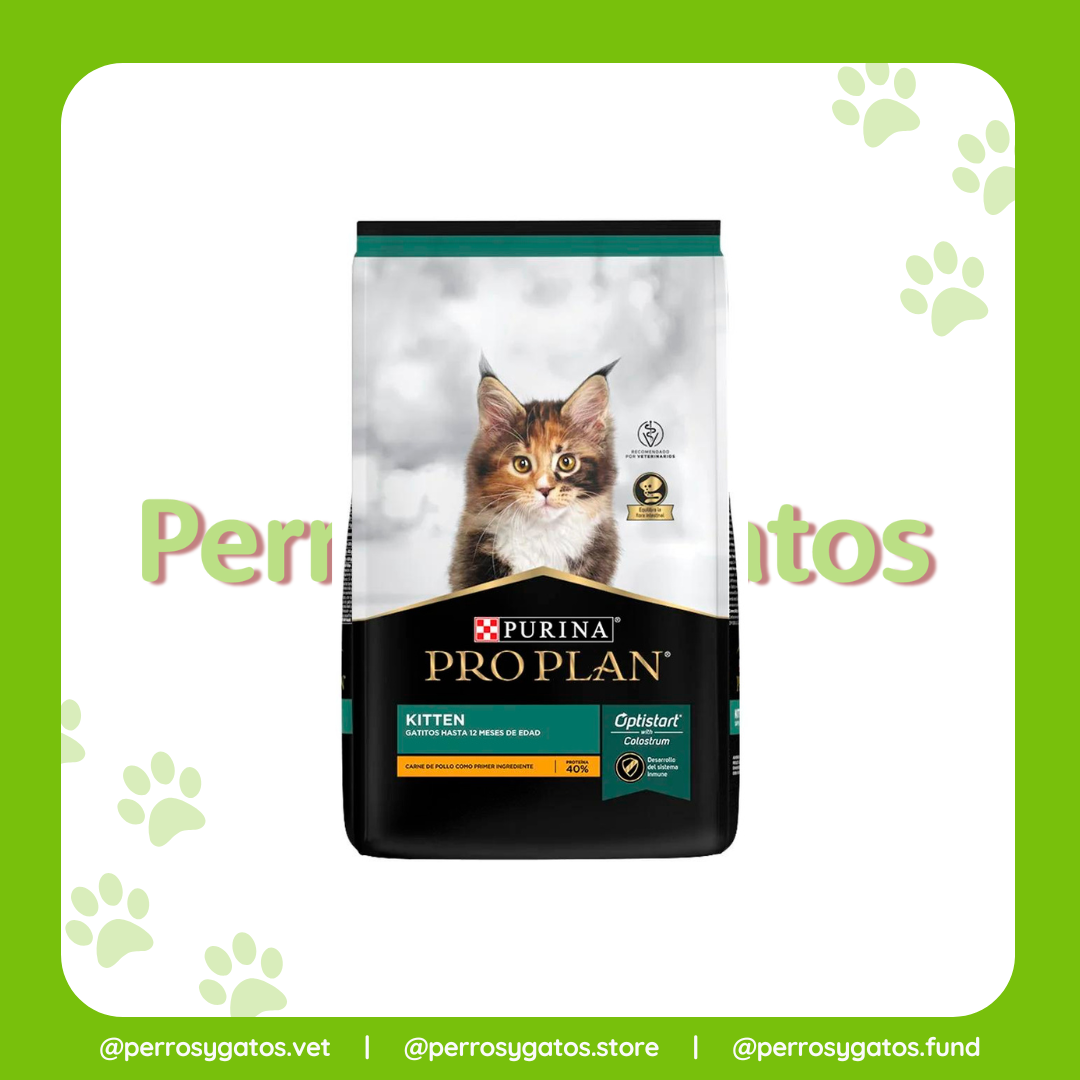 Kitten (Gatito) | Pro Plan