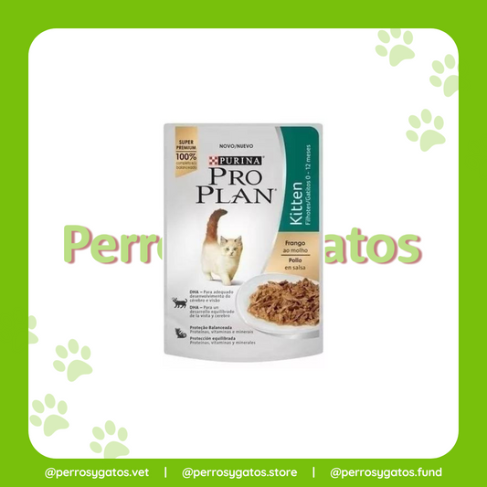 Alimento Húmedo Gato Kitten (Cachorro) Pollo En Salsa 85 Gr | Pro Plan