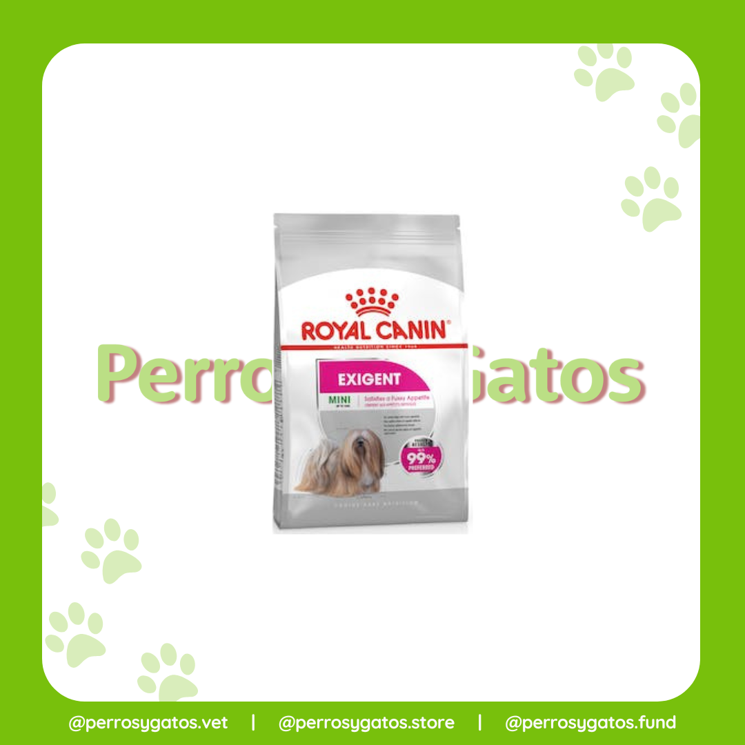 Mini Exigent Perro Adulto | Royal Canin