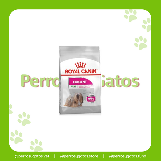 Mini Exigent Perro Adulto | Royal Canin