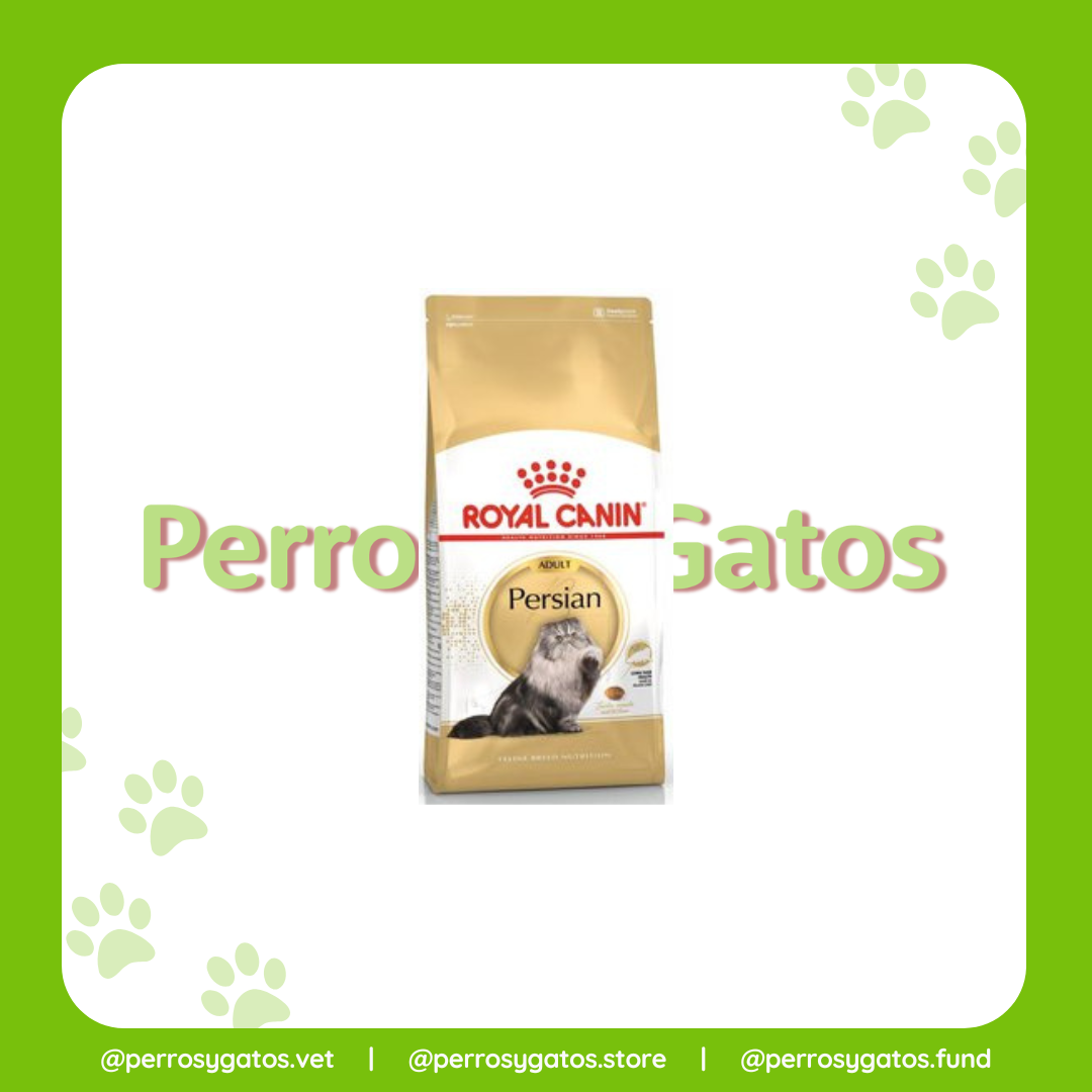 Persa Adulto | Royal Canin