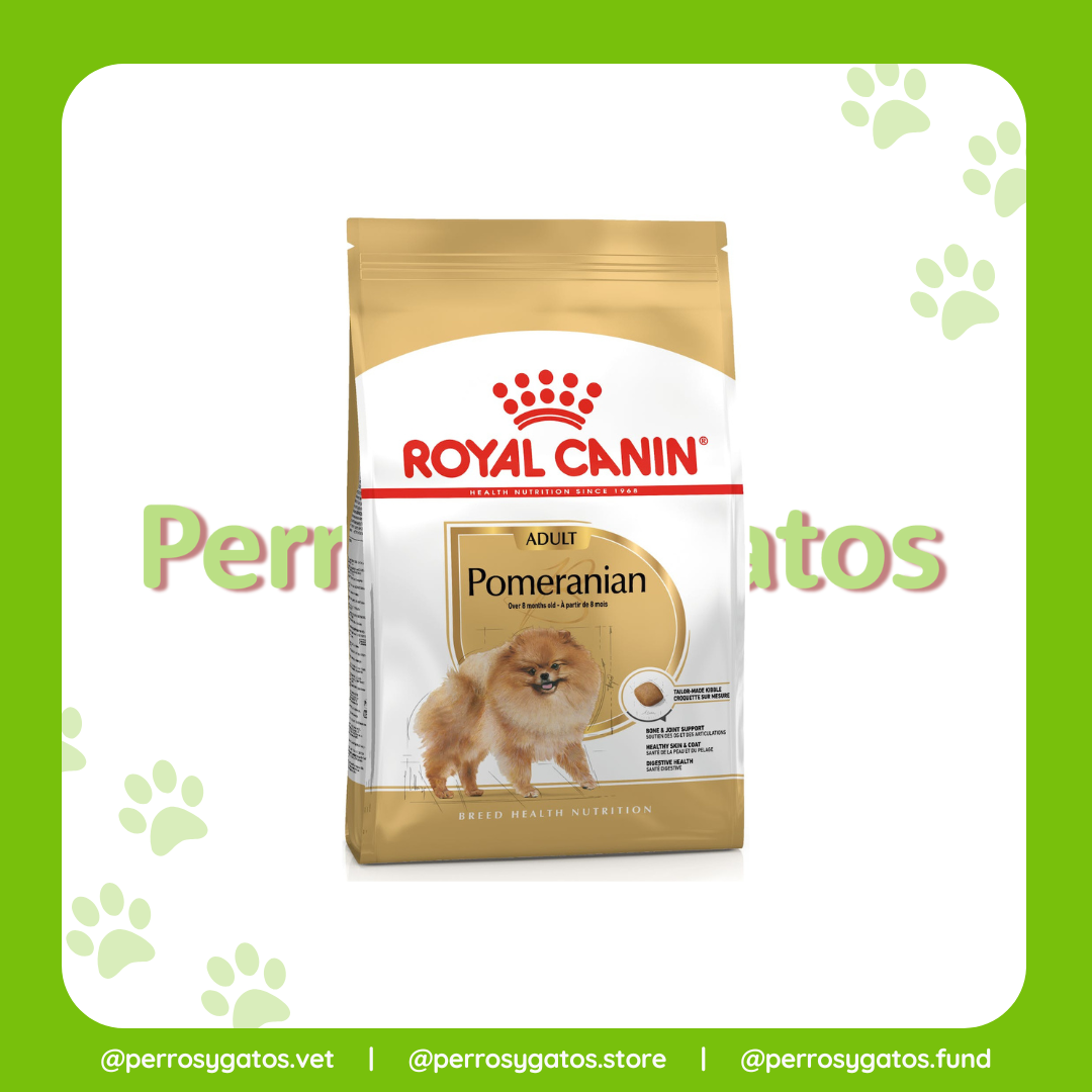 Pomerania Adulto | Royal Canin