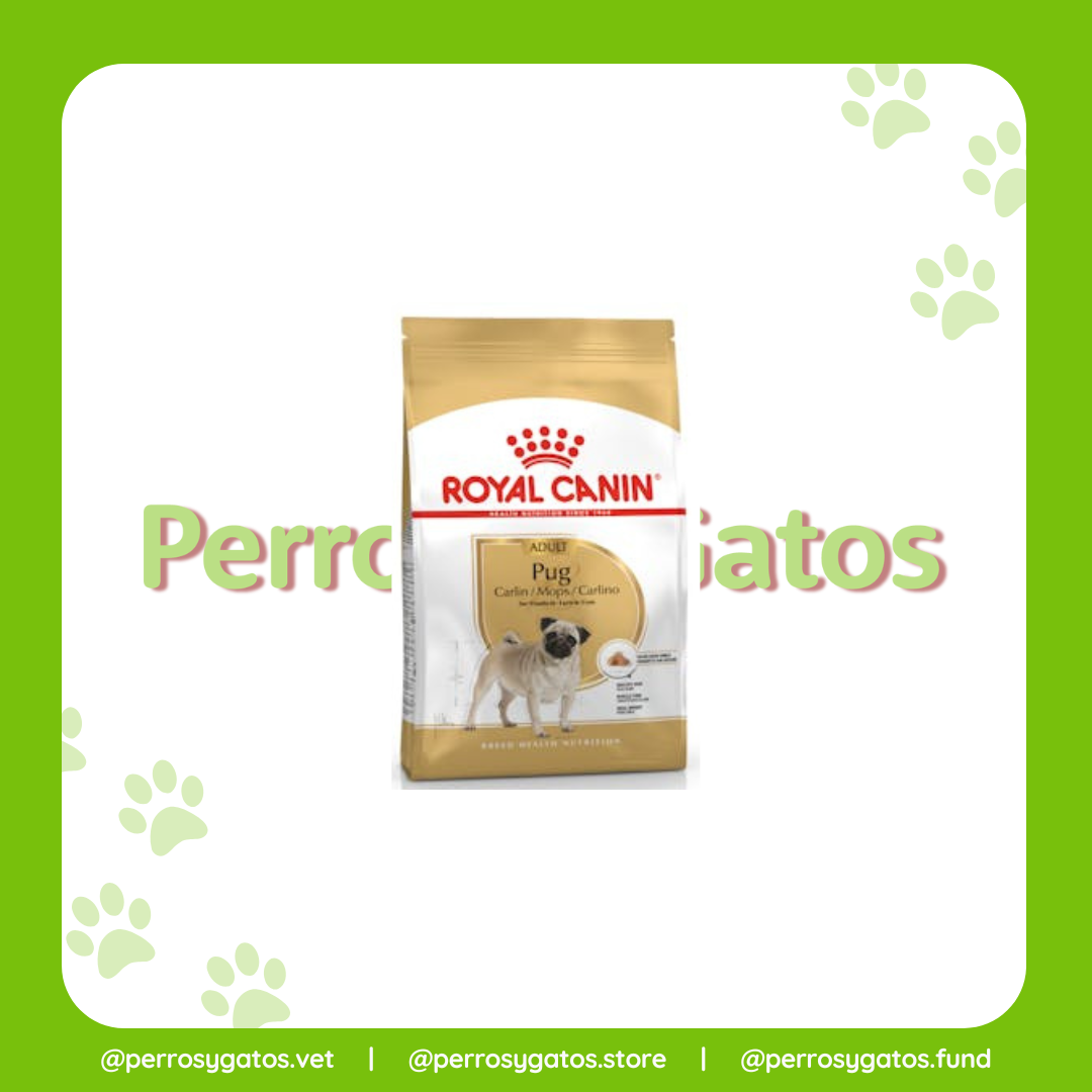 Pug Adulto | Royal Canin