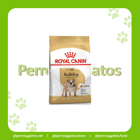 Bulldog Adulto | Royal Canin