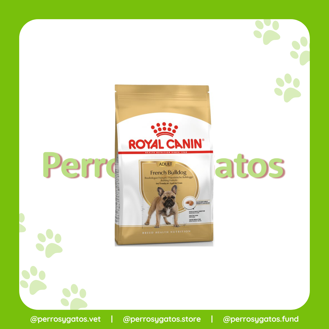 Bulldog Francés Adulto | Royal Canin