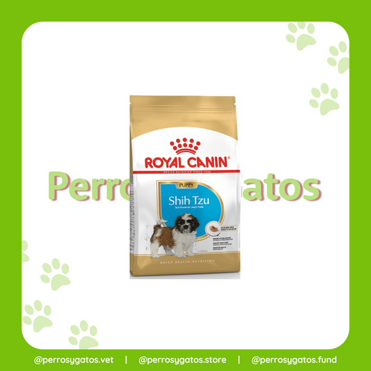 Shih - Tzu Puppy (Cachorro) | Royal Canin