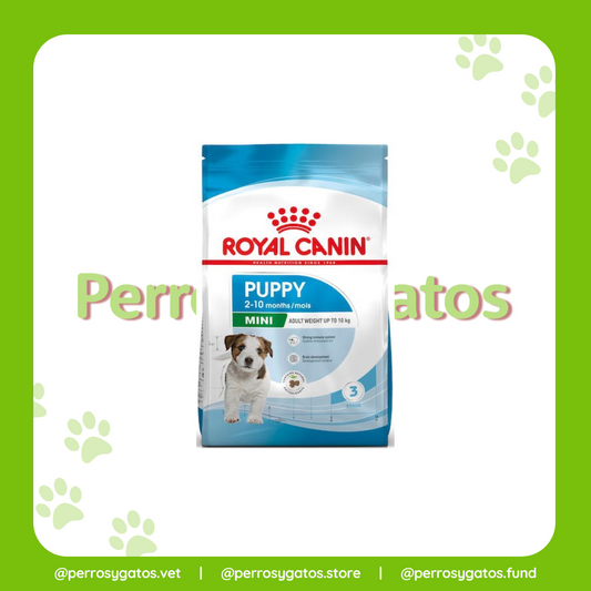 Cachorro Mini | Royal Canin