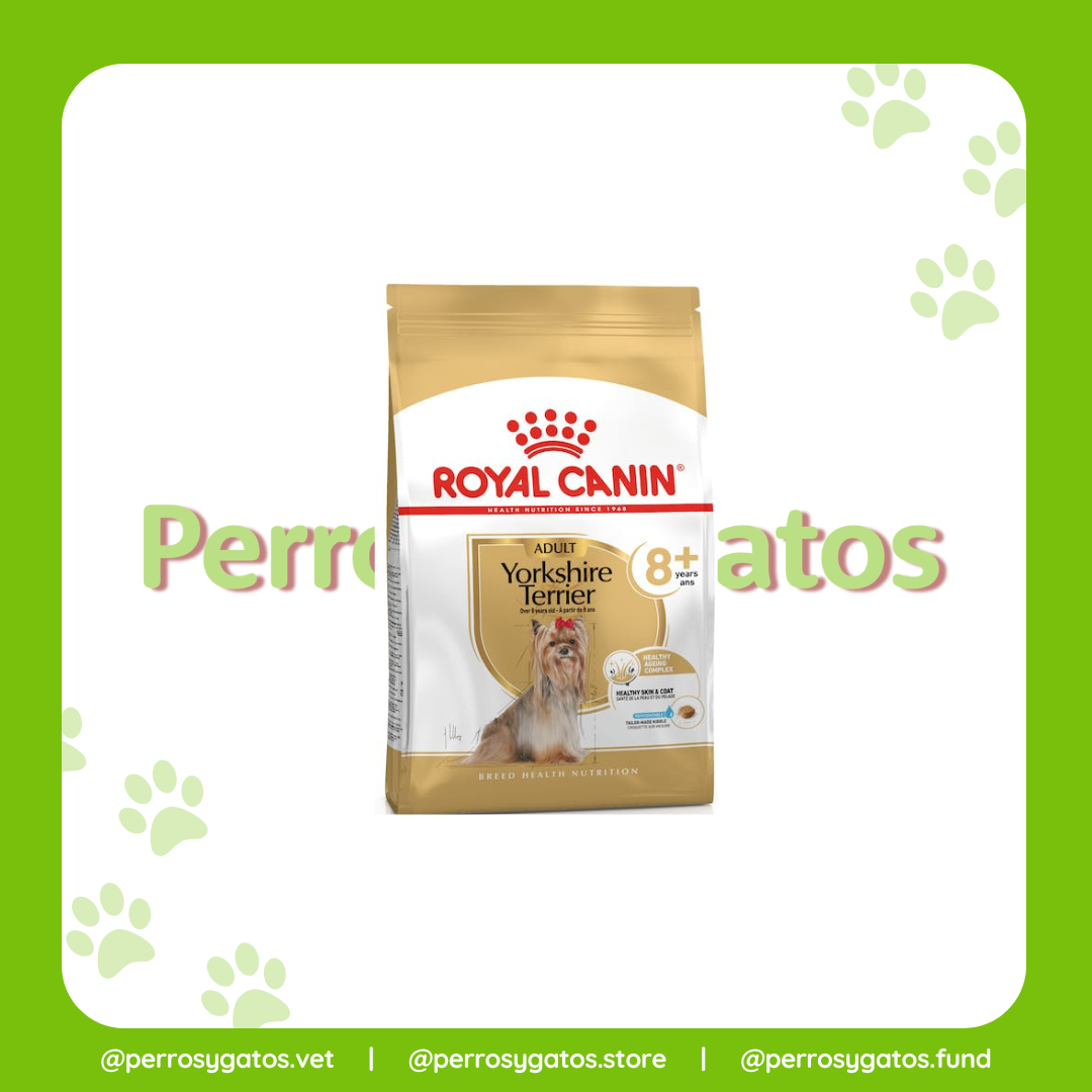 Yorkshire Terrier Adulto 8 + | Royal Canin