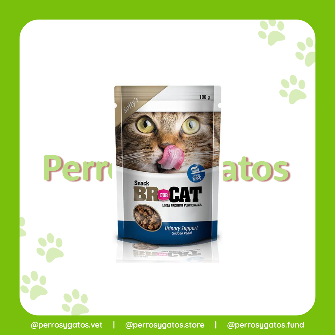 Snack Para Gato Cuidado Renal 100 Gr | Br For Cat