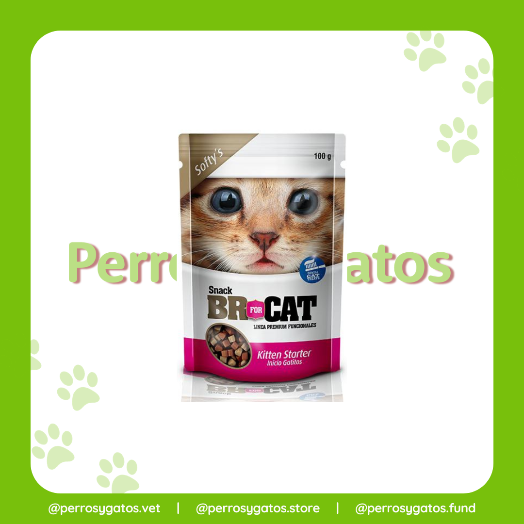 Snack Para Inicio Gatitos 100 Gr | Br For Cat