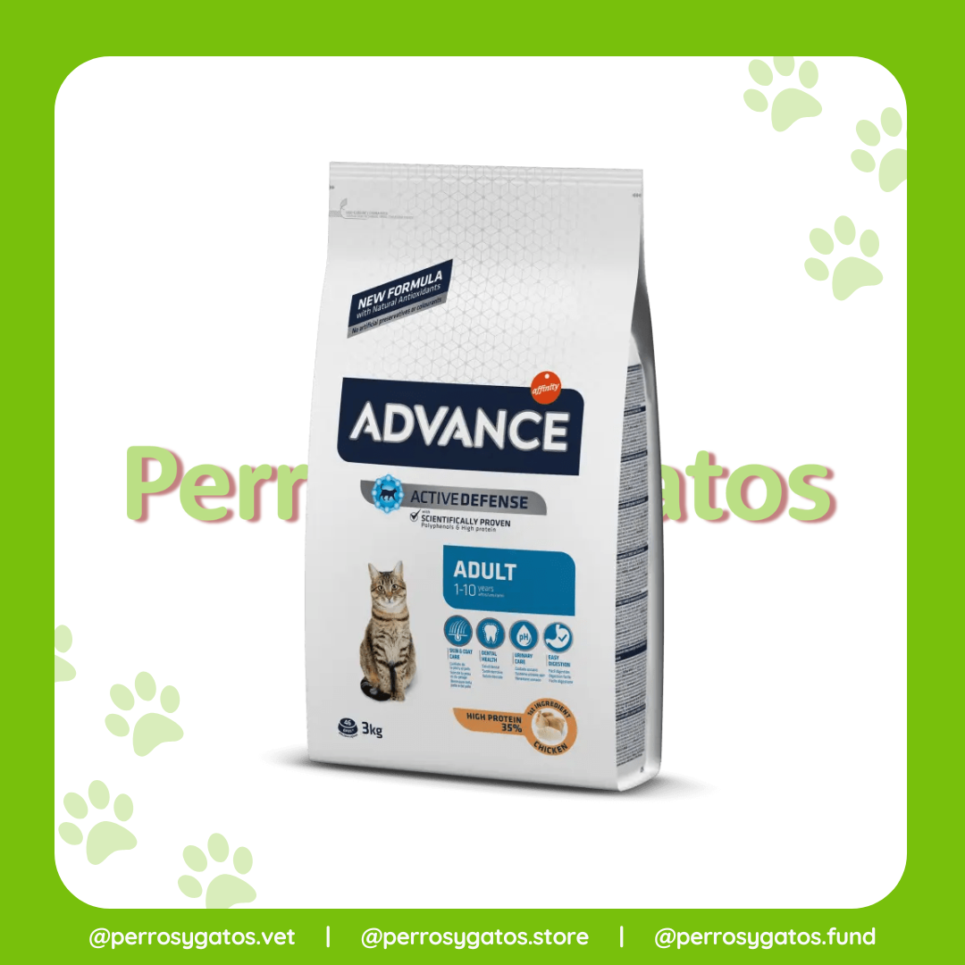 Adulto Pollo Gato | Advance