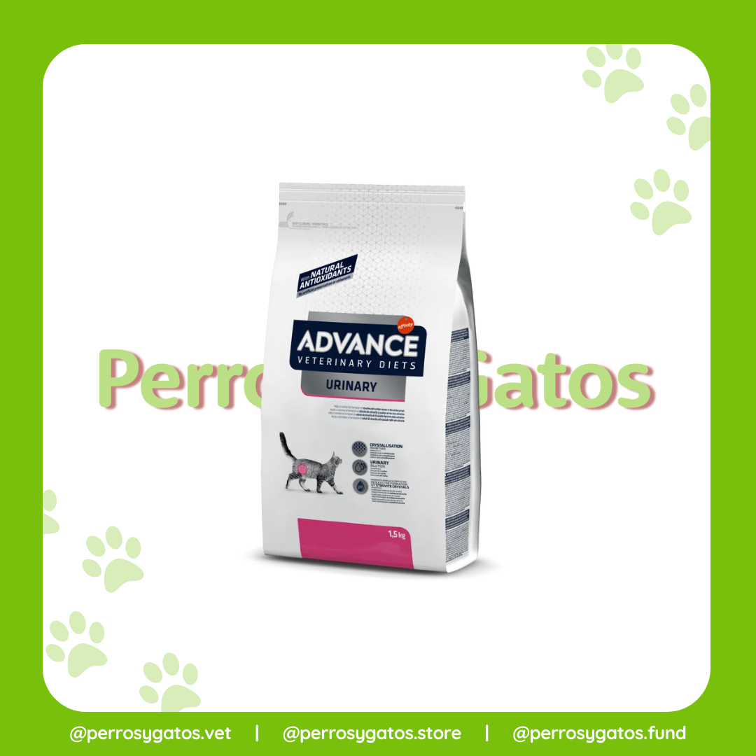 Urinario Gato | Advance