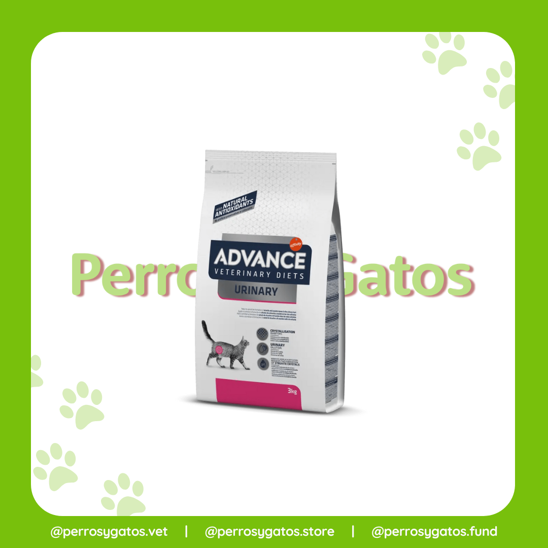 Urinario Gato | Advance