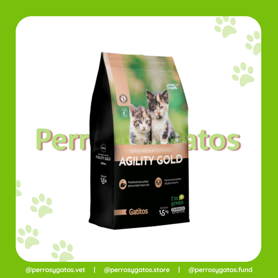 Gatitos | Agility Gold