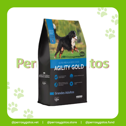 Grandes Adultos Perro | Agility Gold