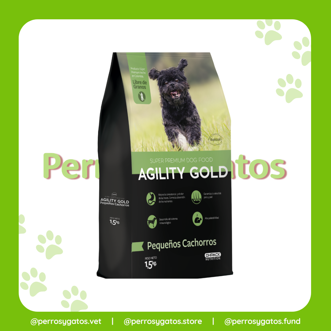 Pequeños Cachorros Perro | Agility Gold