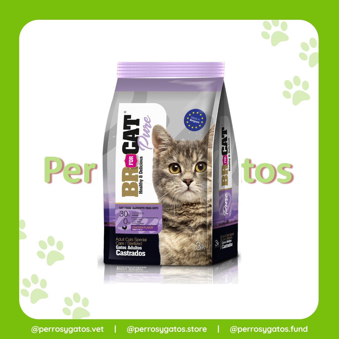 Adulto Castrado Gato | Br for Cat Pure