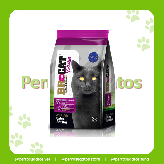 Adulto Pollo Gato | Br for Cat Pure