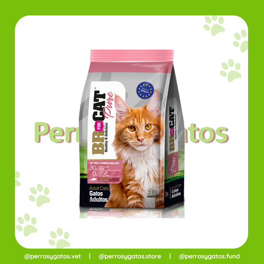 Adulto Salmón Gato | Br for Cat Pure