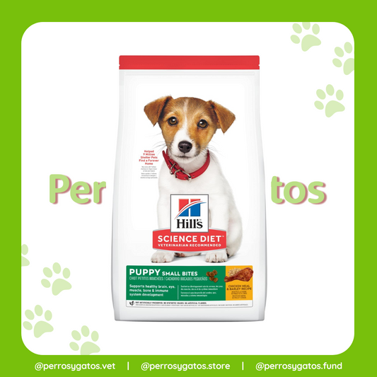 Cachorro (Bocado Pequeño) Perro | Hill's Science Diet